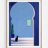 Cat, Morocco
