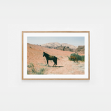 Desert horses Art Print | Helena Vereycken x decollective