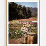 Flower ride II
