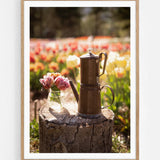 Flowers, water and light