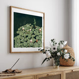 Lillies Art Print | Helena Vereycken x decollective