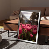 Tulips I