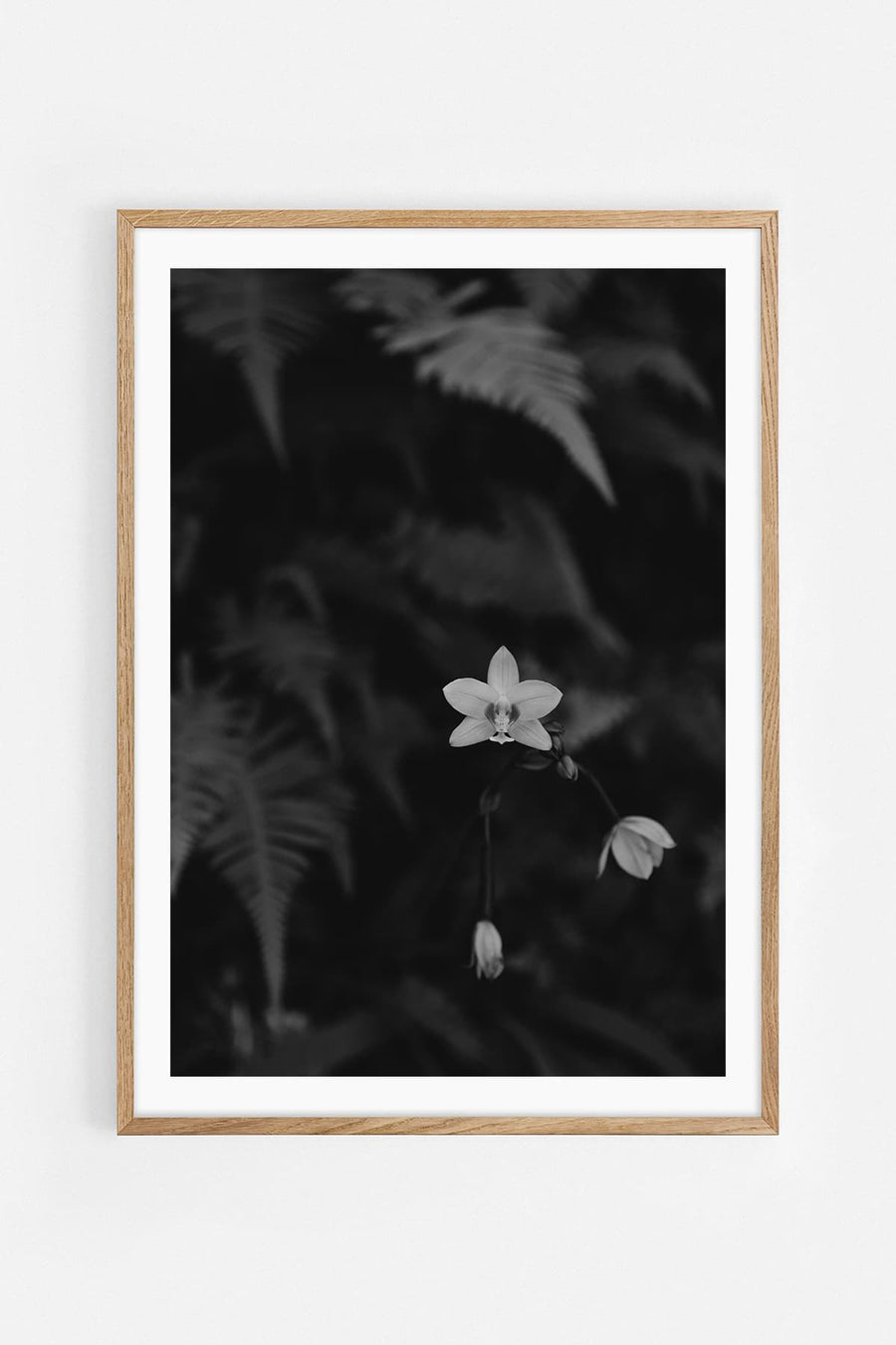 White flower