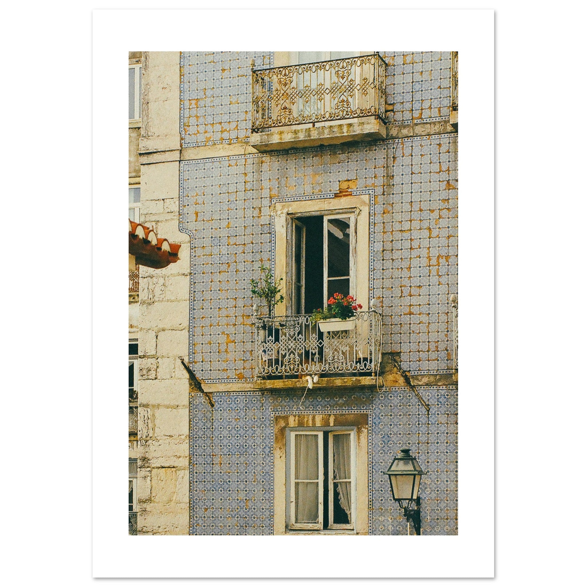 Lisbon dog Art Print | Helena Vereycken x decollective