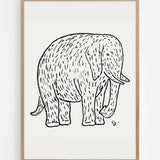 Elephant