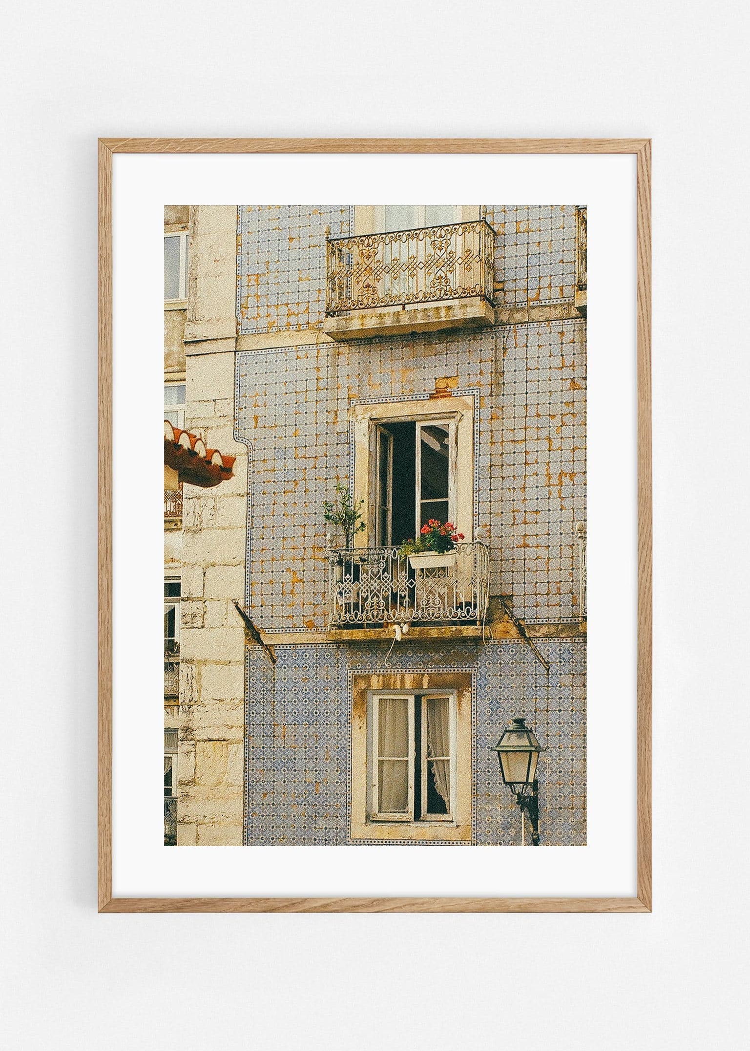 Lisbon dog Art Print | Helena Vereycken x decollective