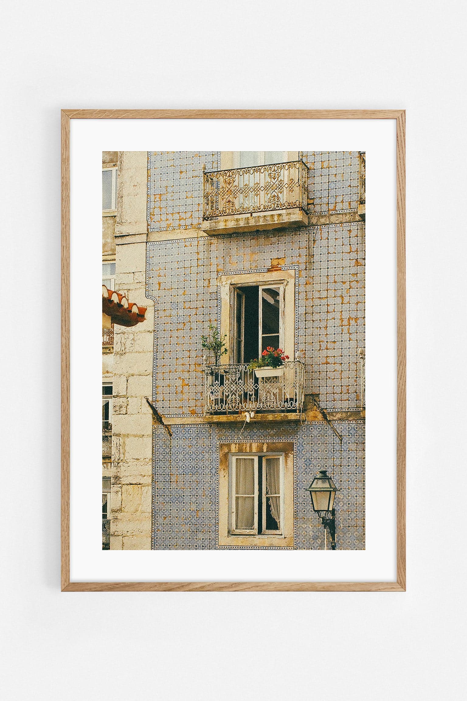 Lisbon dog Art Print | Helena Vereycken x decollective