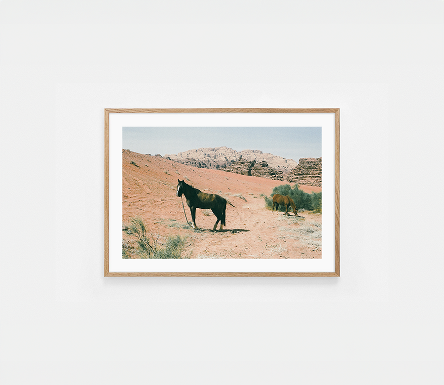 Desert horses — Photography art print by Helena Vereycken | Buy wall art online | Decollective