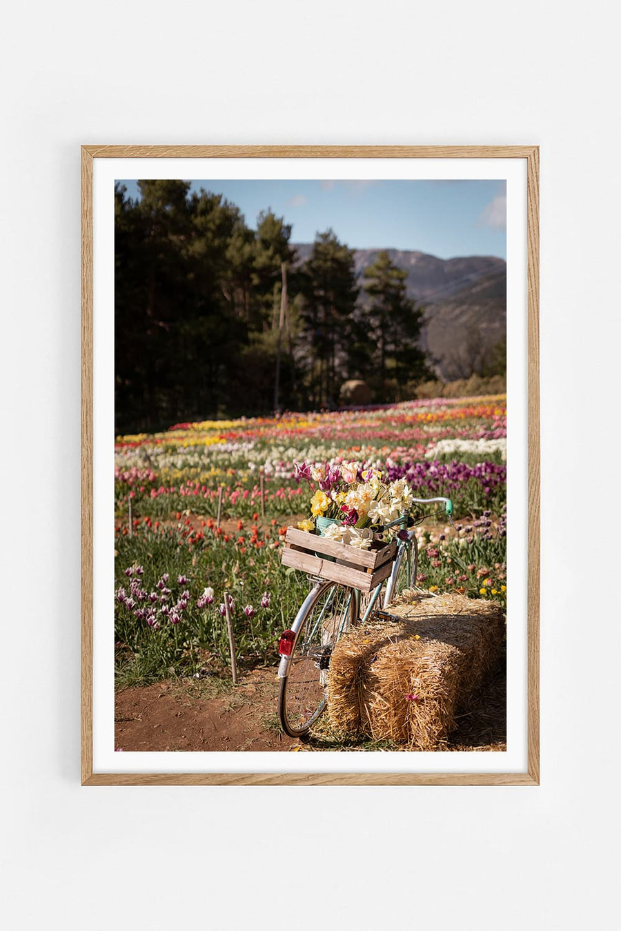 Flower ride II