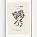 Gardenia