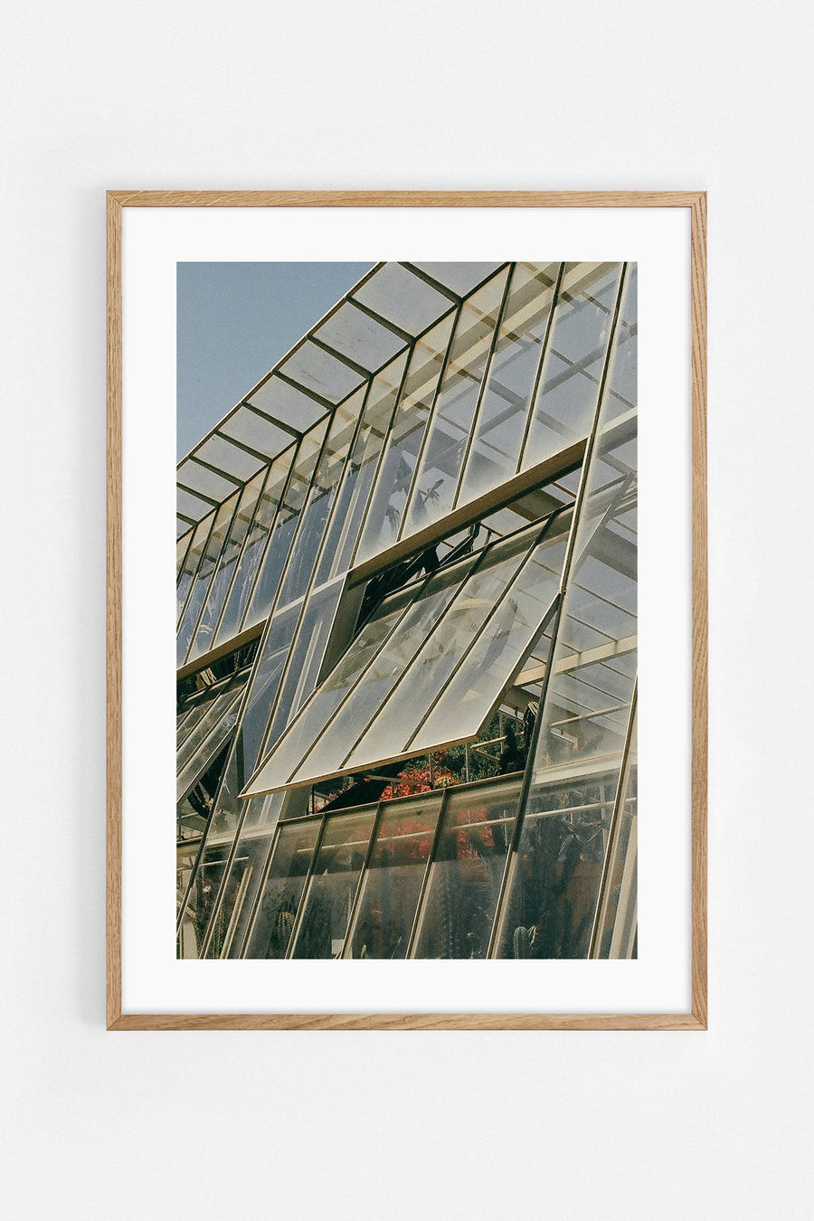 Estufa — Photography art print by Helena Vereycken | Buy wall art online | Decollective