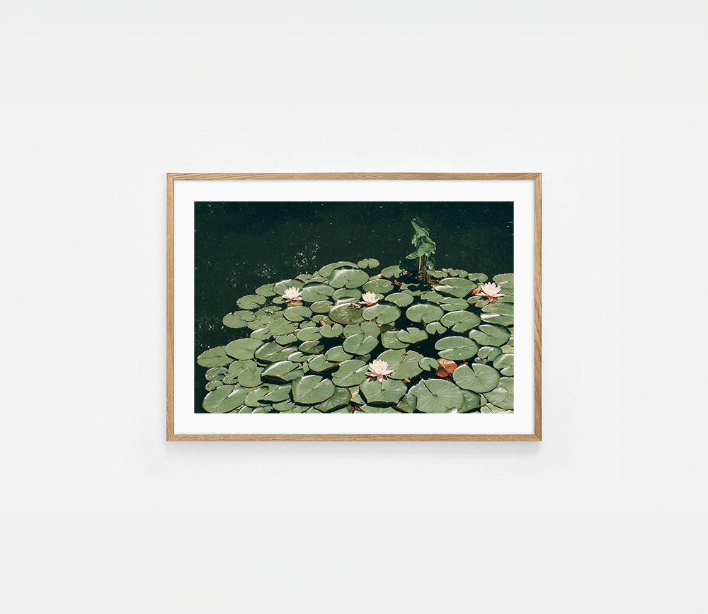 Lillies Art Print | Helena Vereycken x decollective