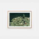 Lillies Art Print | Helena Vereycken x decollective