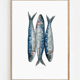 Sardines