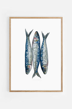 Sardines