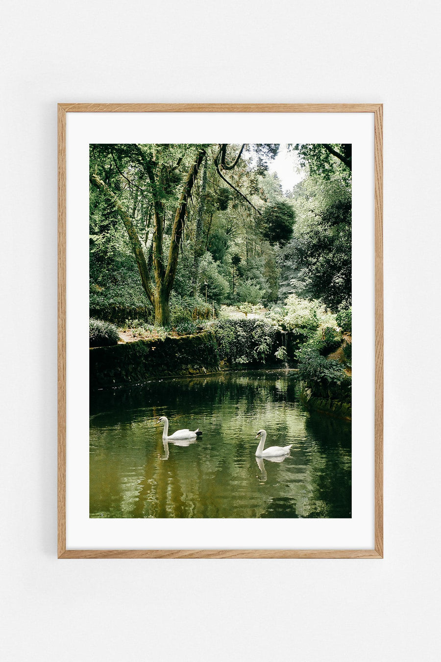 Cisnes — Photography art print by Helena Vereycken | Buy wall art online | Decollective