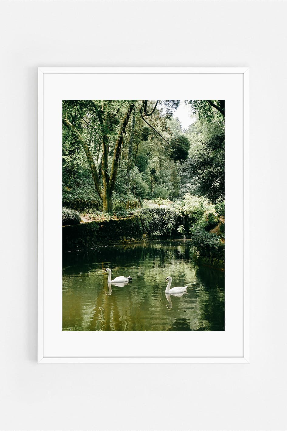 Cisnes Art Print | Helena Vereycken x decollective