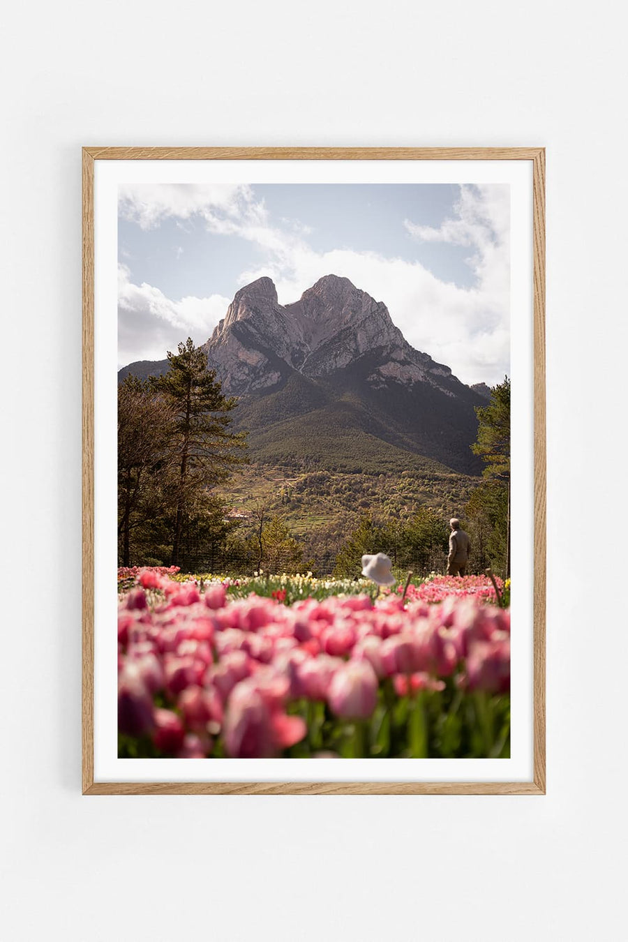 Tulips II