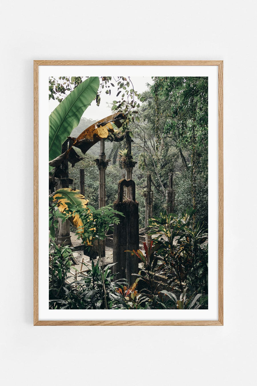 Wild nature